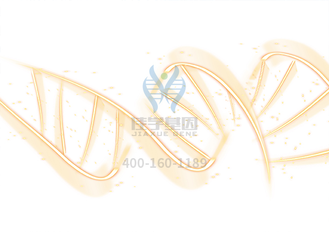 【佳學基因檢測】做肺動脈高壓基因解碼、<a href=http://www.lucasfraser.com/tk/jiema/cexujishu/2021/31933.html>基因檢測</a>的費用是多少？