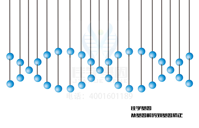 【佳學基因檢測】GTP環(huán)化水解酶I缺陷基因解碼、<a href=http://www.lucasfraser.com/tk/jiema/cexujishu/2021/31933.html>基因檢測</a>的報告有人解讀嗎？