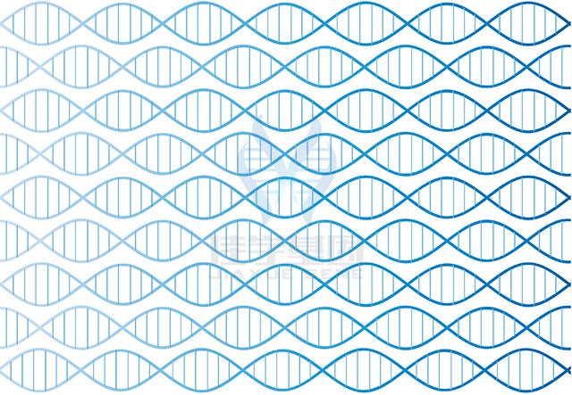 【佳學(xué)基因檢測】做視隔發(fā)育不良輕度基因解碼、<a  data-cke-saved-href=http://www.lucasfraser.com/tk/jiema/cexujishu/2021/31933.html href=http://www.lucasfraser.com/tk/jiema/cexujishu/2021/31933.html>基因檢測</a>需要多少錢？