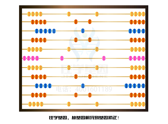 【佳學(xué)基因檢測(cè)】什么人要做PII基因解碼、<a href=http://www.lucasfraser.com/tk/jiema/cexujishu/2021/31933.html>基因檢測(cè)</a>？