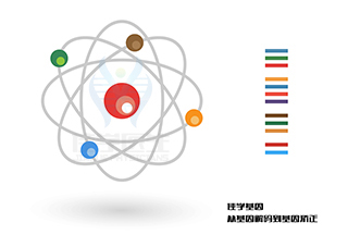 【佳學(xué)基因檢測(cè)】短肋胸椎發(fā)育異常16型有或沒有多指基因解碼、<a href=http://www.lucasfraser.com/tk/jiema/cexujishu/2021/31933.html>基因檢測(cè)</a>可以只做基因解碼嗎？