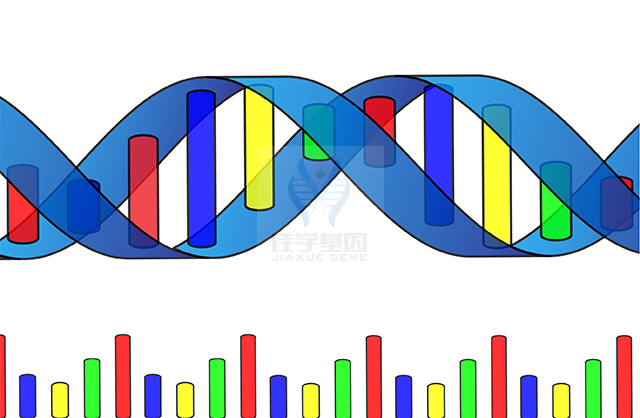 【佳學(xué)基因檢測(cè)】CHILD綜合征基因解碼、<a  data-cke-saved-href=http://www.lucasfraser.com/tk/jiema/cexujishu/2021/31933.html href=http://www.lucasfraser.com/tk/jiema/cexujishu/2021/31933.html>基因檢測(cè)</a>有什么用？