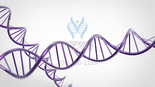 【佳學(xué)基因檢測】無腫大性先天性甲狀腺功能減退癥6型基因解碼、<a href=http://lucasfraser.com/tk/jiema/cexujishu/2021/31933.html>基因檢測</a>的樣品有區(qū)別嗎？