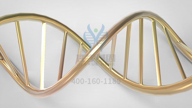 【佳學(xué)基因檢測(cè)】視網(wǎng)膜色素變性9型基因解碼、<a  data-cke-saved-href=http://www.lucasfraser.com/tk/jiema/cexujishu/2021/31933.html href=http://www.lucasfraser.com/tk/jiema/cexujishu/2021/31933.html>基因檢測(cè)</a>的報(bào)告看得懂嗎？