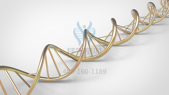 【佳學(xué)基因檢測(cè)】如何做先天性染色體疾病基因解碼、<a href=http://www.lucasfraser.com/tk/jiema/cexujishu/2021/31933.html>基因檢測(cè)</a>？