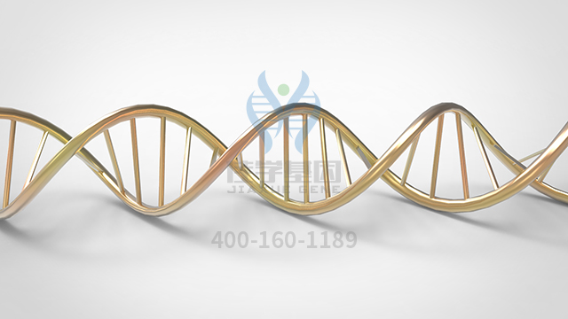 【佳學(xué)基因檢測(cè)】做致死性限制性皮膚攣縮綜合征基因解碼、<a href=http://www.lucasfraser.com/tk/jiema/cexujishu/2021/31933.html>基因檢測(cè)</a>需要到總部嗎？