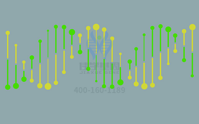 【佳學(xué)基因檢測(cè)】如何區(qū)分腎上腺功能不全先天性46XY（部分或有效）性逆轉(zhuǎn)基因解碼、<a href=http://www.lucasfraser.com/tk/jiema/cexujishu/2021/31933.html>基因檢測(cè)</a>？