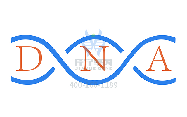 【佳學(xué)基因檢測(cè)】做先天性甲狀腺功能低下基因解碼、<a  data-cke-saved-href=http://www.lucasfraser.com/tk/jiema/cexujishu/2021/31933.html href=http://www.lucasfraser.com/tk/jiema/cexujishu/2021/31933.html>基因檢測(cè)</a>的費(fèi)用是多少？