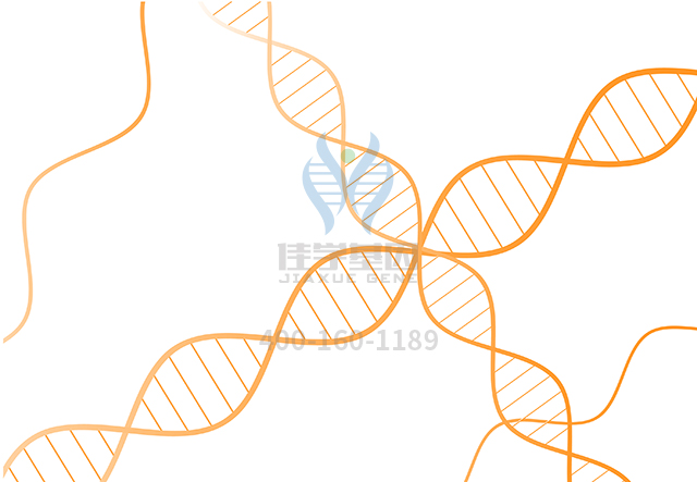 【佳學(xué)基因檢測(cè)】如何區(qū)分先天性畸形基因解碼、<a href=http://www.lucasfraser.com/tk/jiema/cexujishu/2021/31933.html>基因檢測(cè)</a>？