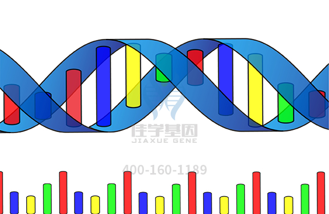 【佳學(xué)基因檢測】什么人要做DOLK先天性糖基化病基因解碼、<a  data-cke-saved-href=http://www.lucasfraser.com/tk/jiema/cexujishu/2021/31933.html href=http://www.lucasfraser.com/tk/jiema/cexujishu/2021/31933.html>基因檢測</a>？