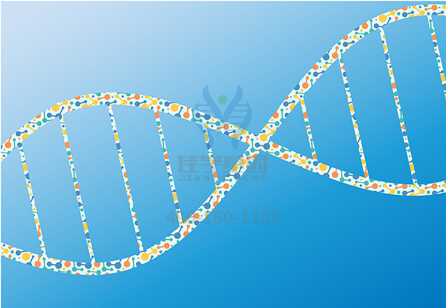 【佳學(xué)基因檢測(cè)】如何做唇裂/腭裂-外胚層發(fā)育不良綜合征基因解碼、<a href=http://www.lucasfraser.com/tk/jiema/cexujishu/2021/31933.html>基因檢測(cè)</a>？