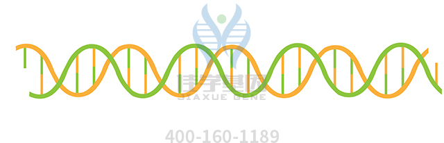 【佳學(xué)基因檢測(cè)】先天性疼痛不敏感常染色體隱性基因解碼、<a href=http://www.lucasfraser.com/tk/jiema/cexujishu/2021/31933.html>基因檢測(cè)</a>的報(bào)告有人解讀嗎？