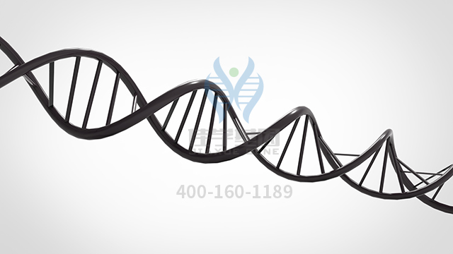 【佳學基因檢測】梅克爾綜合征（Meckel綜合征）6型變異型基因解碼、<a href=http://www.lucasfraser.com/tk/jiema/cexujishu/2021/31933.html>基因檢測</a>報告時間是一樣的嗎？