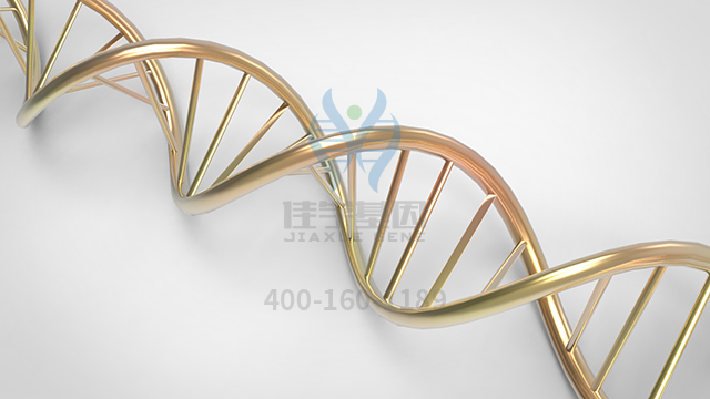 【佳學(xué)基因檢測(cè)】致死性先天性攣縮綜合征7型基因解碼、<a href=http://lucasfraser.com/tk/jiema/cexujishu/2021/31933.html>基因檢測(cè)</a>的報(bào)告有人解讀嗎？