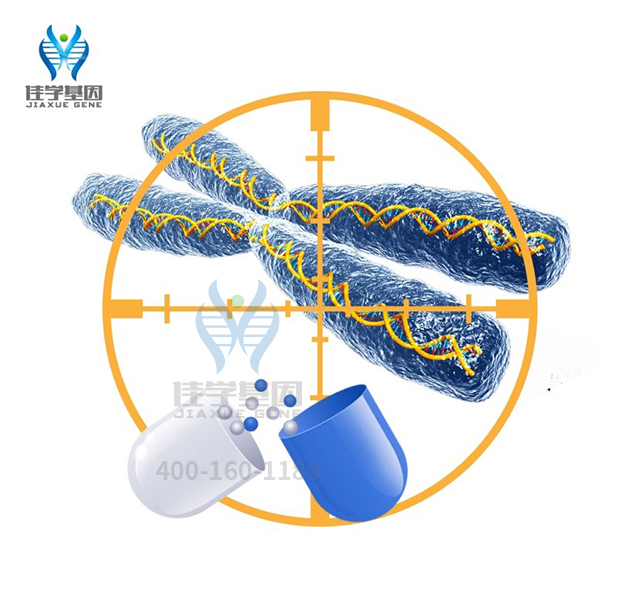 【佳學(xué)基因檢測(cè)】痙攣性截癱13型基因解碼、<a href=http://lucasfraser.com/tk/jiema/cexujishu/2021/31933.html>基因檢測(cè)</a>的報(bào)告有人解讀嗎？