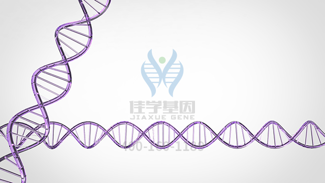 【佳學(xué)基因檢測】新生兒炎性皮膚和腸道疾病2型基因解碼、<a href=http://www.lucasfraser.com/tk/jiema/cexujishu/2021/31933.html>基因檢測</a>的報告有人解讀嗎？