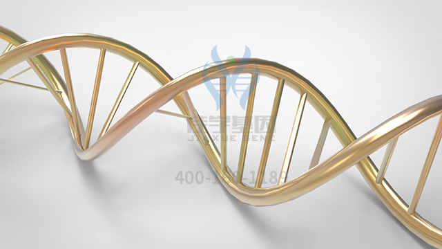 【佳學(xué)基因檢測(cè)】做丙種球蛋白血癥8型常染色體顯性遺傳基因解碼、<a href=http://www.lucasfraser.com/tk/jiema/cexujishu/2021/31933.html>基因檢測(cè)</a>的費(fèi)用是多少？