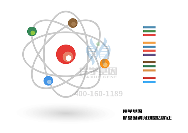 【佳學(xué)基因檢測(cè)】先天性紅細(xì)胞生成性貧血I型基因解碼、<a href=http://www.lucasfraser.com/tk/jiema/cexujishu/2021/31933.html>基因檢測(cè)</a>報(bào)告時(shí)間是一樣的嗎？