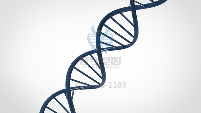 【佳學基因檢測】怎樣選擇異常抗利尿的腎源性綜合征基因解碼、<a href=http://www.lucasfraser.com/tk/jiema/cexujishu/2021/31933.html>基因檢測</a>？