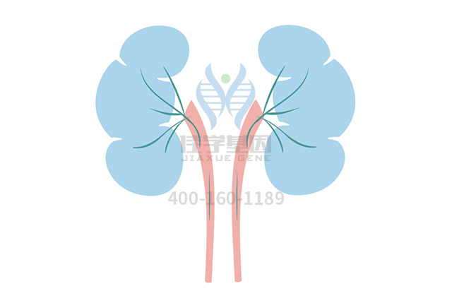 【佳學(xué)基因檢測(cè)】常染色體顯性廣泛性甲狀腺激素抵抗基因解碼、<a  data-cke-saved-href=http://www.lucasfraser.com/tk/jiema/cexujishu/2021/31933.html href=http://www.lucasfraser.com/tk/jiema/cexujishu/2021/31933.html>基因檢測(cè)</a>的報(bào)告有人解讀嗎？