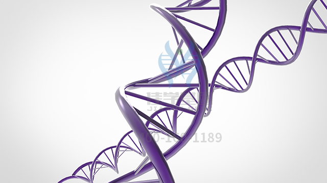 【佳學(xué)基因檢測】如何做甲狀腺激素抵抗全身性抵抗型基因解碼、<a  data-cke-saved-href=http://www.lucasfraser.com/tk/jiema/cexujishu/2021/31933.html href=http://www.lucasfraser.com/tk/jiema/cexujishu/2021/31933.html>基因檢測</a>？