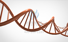 【佳學(xué)基因檢測(cè)】先天性脂肪瘤過度生長血管畸形和表皮痣基因解碼、<a href=http://www.lucasfraser.com/tk/jiema/cexujishu/2021/31933.html>基因檢測(cè)</a>的樣品有區(qū)別嗎？