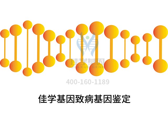 【佳學(xué)基因檢測(cè)】做Pelizaeus-Merzbacher病輕微基因解碼、<a href=http://www.lucasfraser.com/tk/jiema/cexujishu/2021/31933.html>基因檢測(cè)</a>需要多少錢？