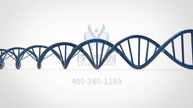 干擾素α-1b藥物<a href=http://www.lucasfraser.com/tk/jiema/cexujishu/2021/31933.html>基因檢測(cè)</a>