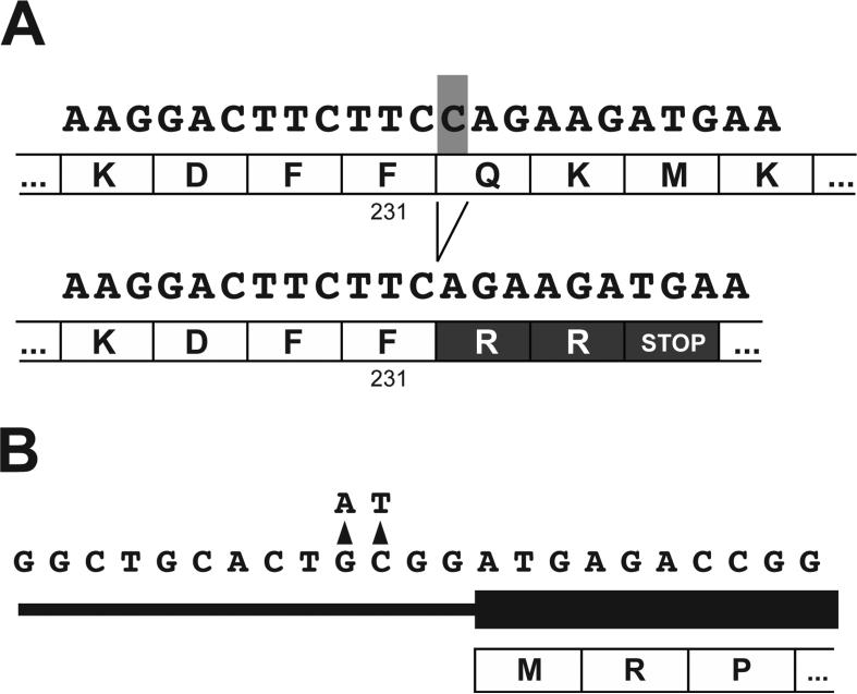 An external file that holds a picture, illustration, etc.
Object name is nihms-650287-f0001.jpg